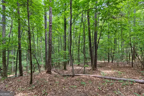 0 Terry Rd, Fairburn, GA 30213 photo 9