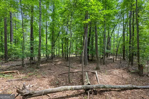 0 Terry Rd, Fairburn, GA 30213 photo 5