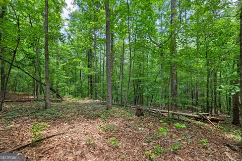 0 Terry Rd, Fairburn, GA 30213 photo 6