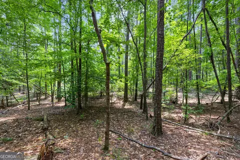 0 Terry Rd, Fairburn, GA 30213 photo 13