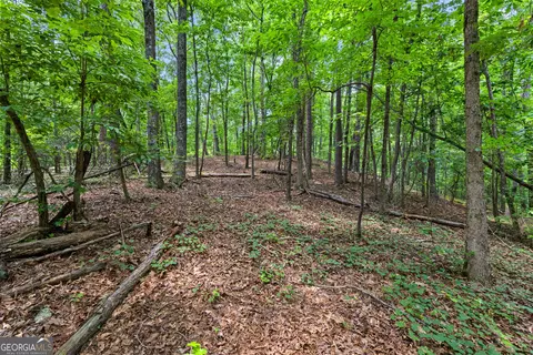 0 Terry Rd, Fairburn, GA 30213 photo 7