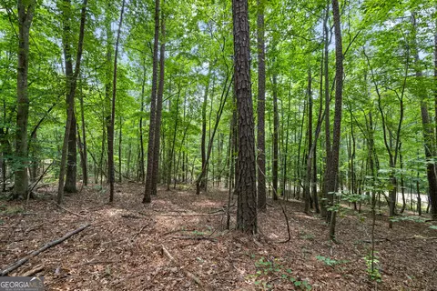 0 Terry Rd, Fairburn, GA 30213 photo 20