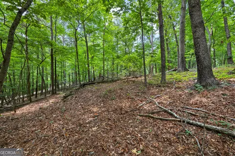 0 Terry Rd, Fairburn, GA 30213 photo 19