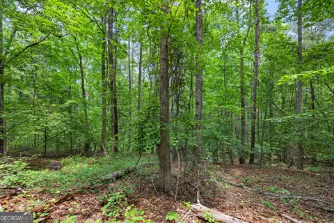 0 Terry Rd, Fairburn, GA 30213 photo 8