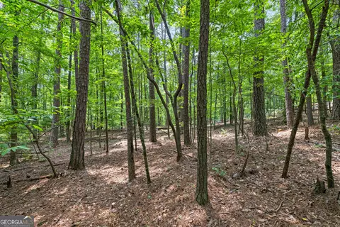0 Terry Rd, Fairburn, GA 30213 photo 14
