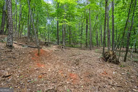 0 Terry Rd, Fairburn, GA 30213 photo 3