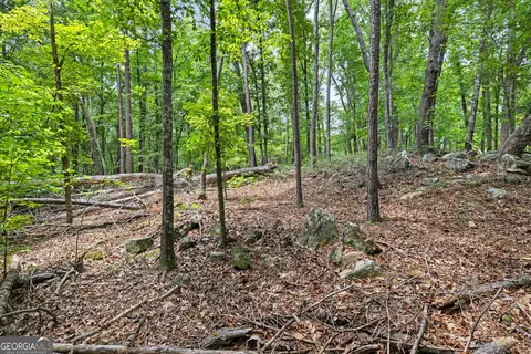 0 Terry Rd, Fairburn, GA 30213 photo 17