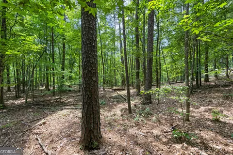 0 Terry Rd, Fairburn, GA 30213 photo 15