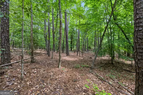 0 Terry Rd, Fairburn, GA 30213 photo 4