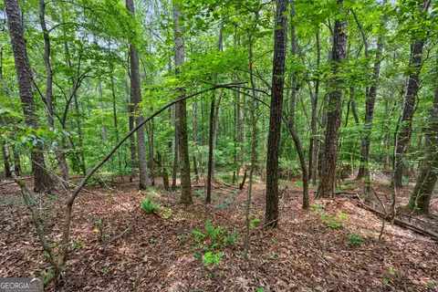 0 Terry Rd, Fairburn, GA 30213 photo 11