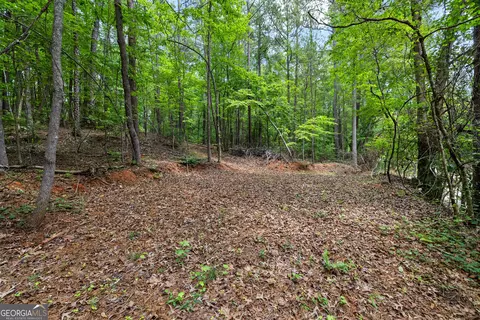0 Terry Rd, Fairburn, GA 30213 photo 2