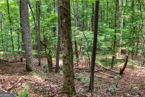 0 Terry Rd, Fairburn, GA 30213 photo 12