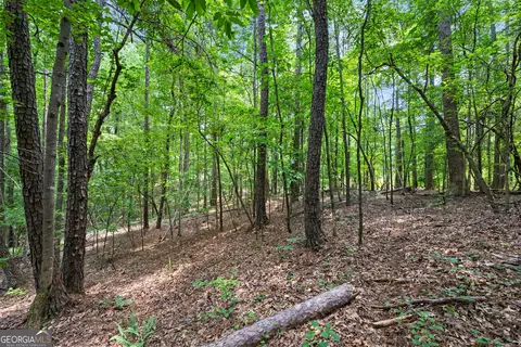 0 Terry Rd, Fairburn, GA 30213 photo 10
