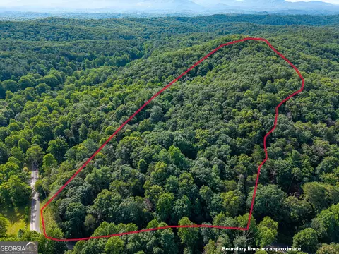 5198 Flat Branch Rd, Ellijay, GA 30540