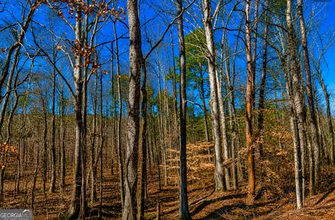 2 Acres Pettit Rd, Jasper, GA 30143 photo 3