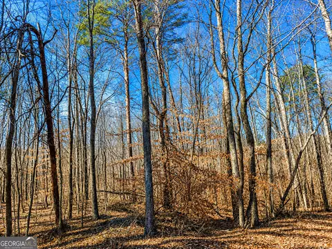 2 Acres Pettit Rd, Jasper, GA 30143