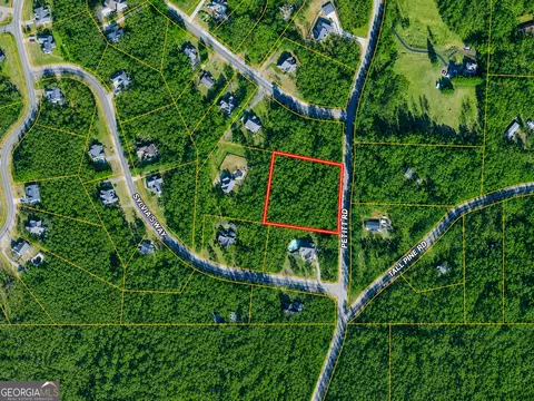 2 Acres Pettit Rd, Jasper, GA 30143 photo 12