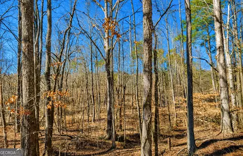 2 Acres Pettit Rd, Jasper, GA 30143 photo 2