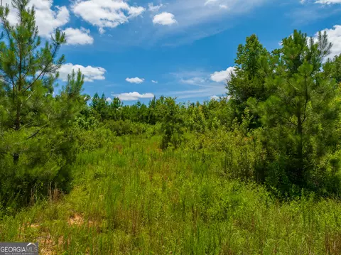 29 3 Acres Cochran Rd, Madison, GA 30650 photo 8