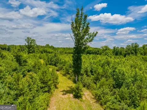29 3 Acres Cochran Rd, Madison, GA 30650 photo 10