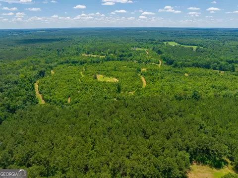 29 3 Acres Cochran Rd, Madison, GA 30650 photo 5