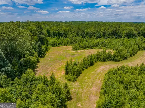 29 3 Acres Cochran Rd, Madison, GA 30650 photo 7