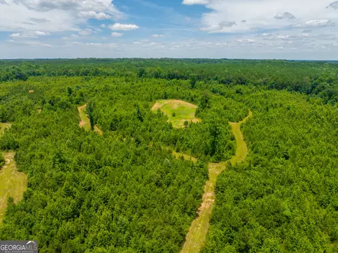 29 3 Acres Cochran Rd, Madison, GA 30650 photo 4