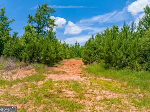 21 4 Acres Cochran Rd, Madison, GA 30650 photo 11