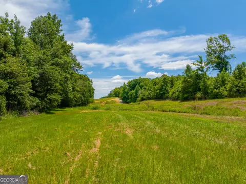 21 4 Acres Cochran Rd, Madison, GA 30650 photo 5