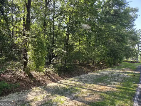 251 Riverview Dr, Dublin, GA 31021 photo 8