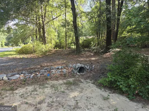251 Riverview Dr, Dublin, GA 31021 photo 3