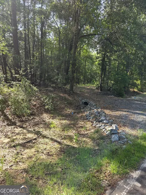 251 Riverview Dr, Dublin, GA 31021 photo 4