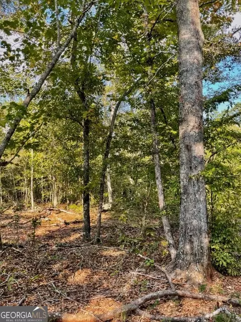 0 Highway 36 E, Jackson, GA 30233 photo 6