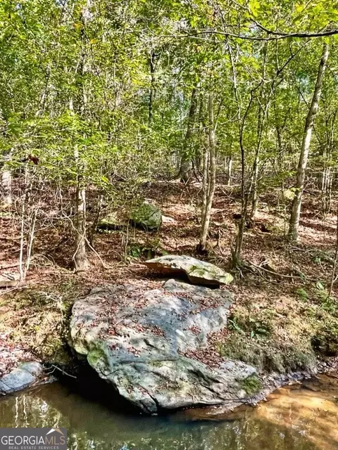 0 Highway 36 E, Jackson, GA 30233 photo 11