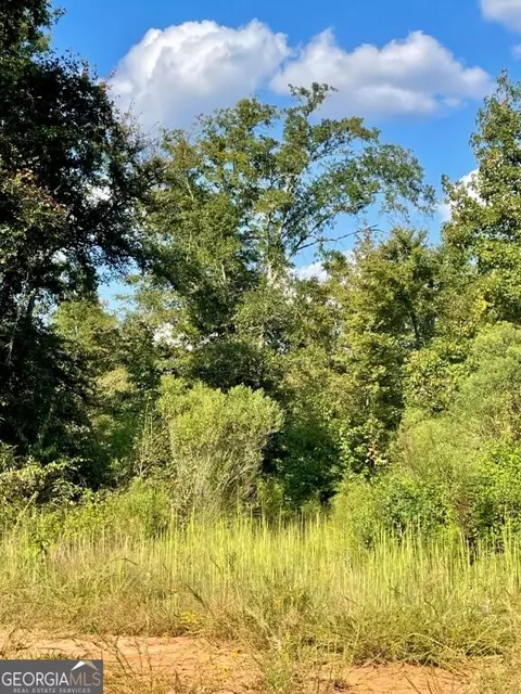 0 Highway 36 E, Jackson, GA 30233 photo 8