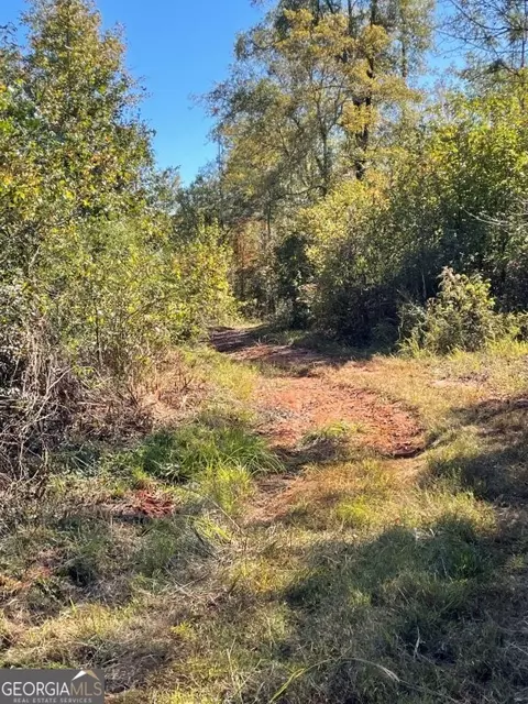 0 Highway 36 E, Jackson, GA 30233 photo 7
