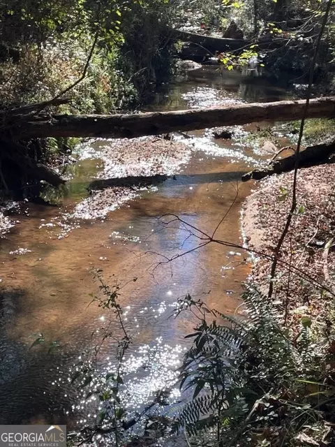 0 Highway 36 E, Jackson, GA 30233 photo 12
