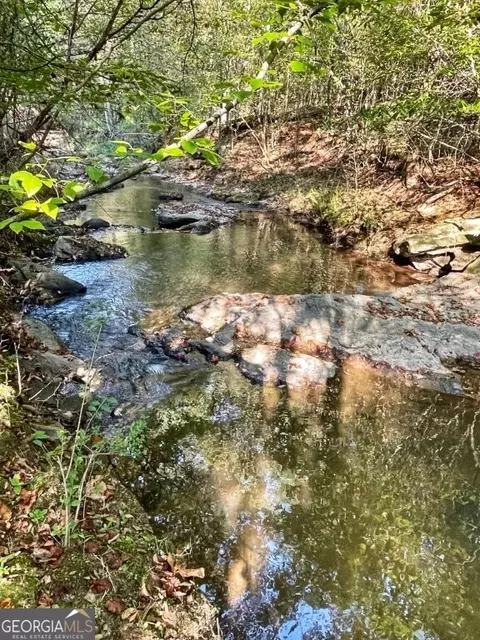 0 Highway 36 E, Jackson, GA 30233 photo 5