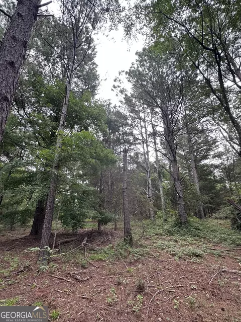 440 W Williamson Rd, Williamson, GA 30292 photo 8