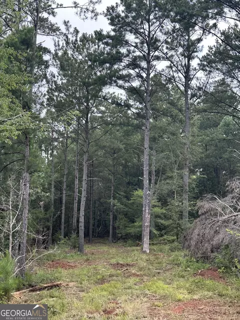 440 W Williamson Rd, Williamson, GA 30292 photo 7