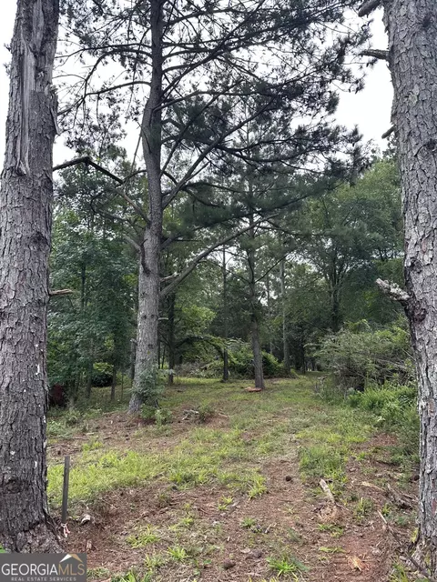 440 W Williamson Rd, Williamson, GA 30292 photo 6