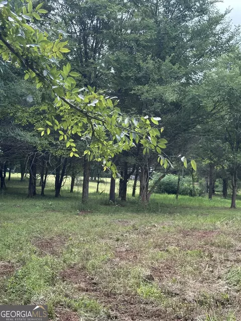 440 W Williamson Rd, Williamson, GA 30292 photo 9