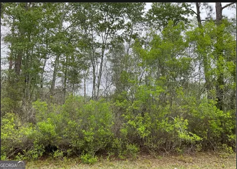 0 1601ac #TRACT 4, Townsend, GA 31331