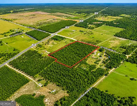 10 73 Acres Se Pow Wow St, Lee, FL 32059