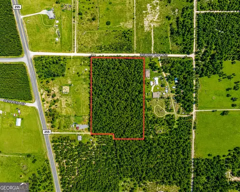10 73 Acres Se Pow Wow St, Lee, FL 32059