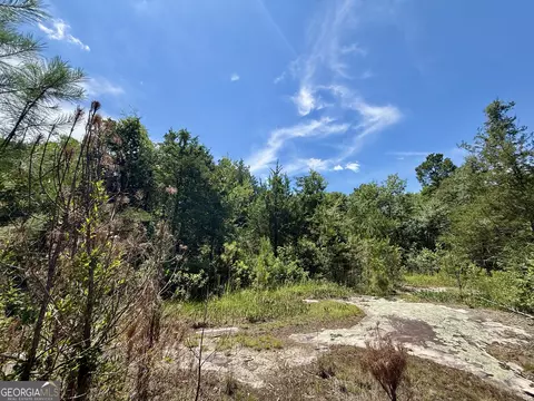 14 NW 21 Acres Nw Irwin Bridge Rd, Conyers, GA 30012