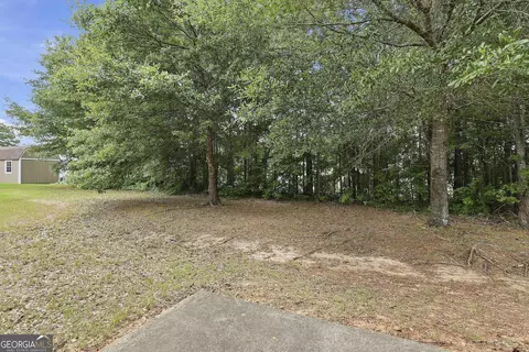 Exterior - 310 Megan Dr, Hampton, GA 30228 photo 8 of 11
