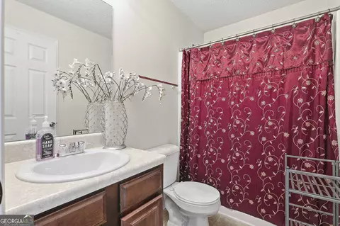 Bath - 310 Megan Dr, Hampton, GA 30228 photo 1 of 5