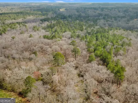 View/Area - 138 Lewis Rd, Jackson, GA 30233 photo 4 of 12