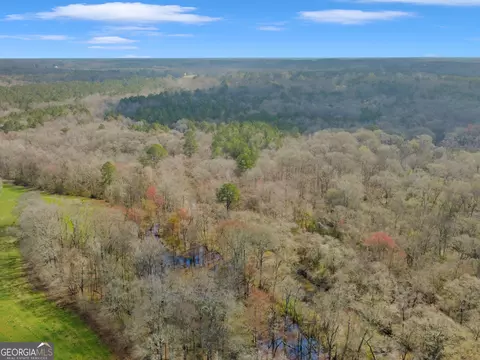 View/Area - 138 Lewis Rd, Jackson, GA 30233 photo 5 of 12